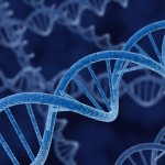Data Stored in DNA